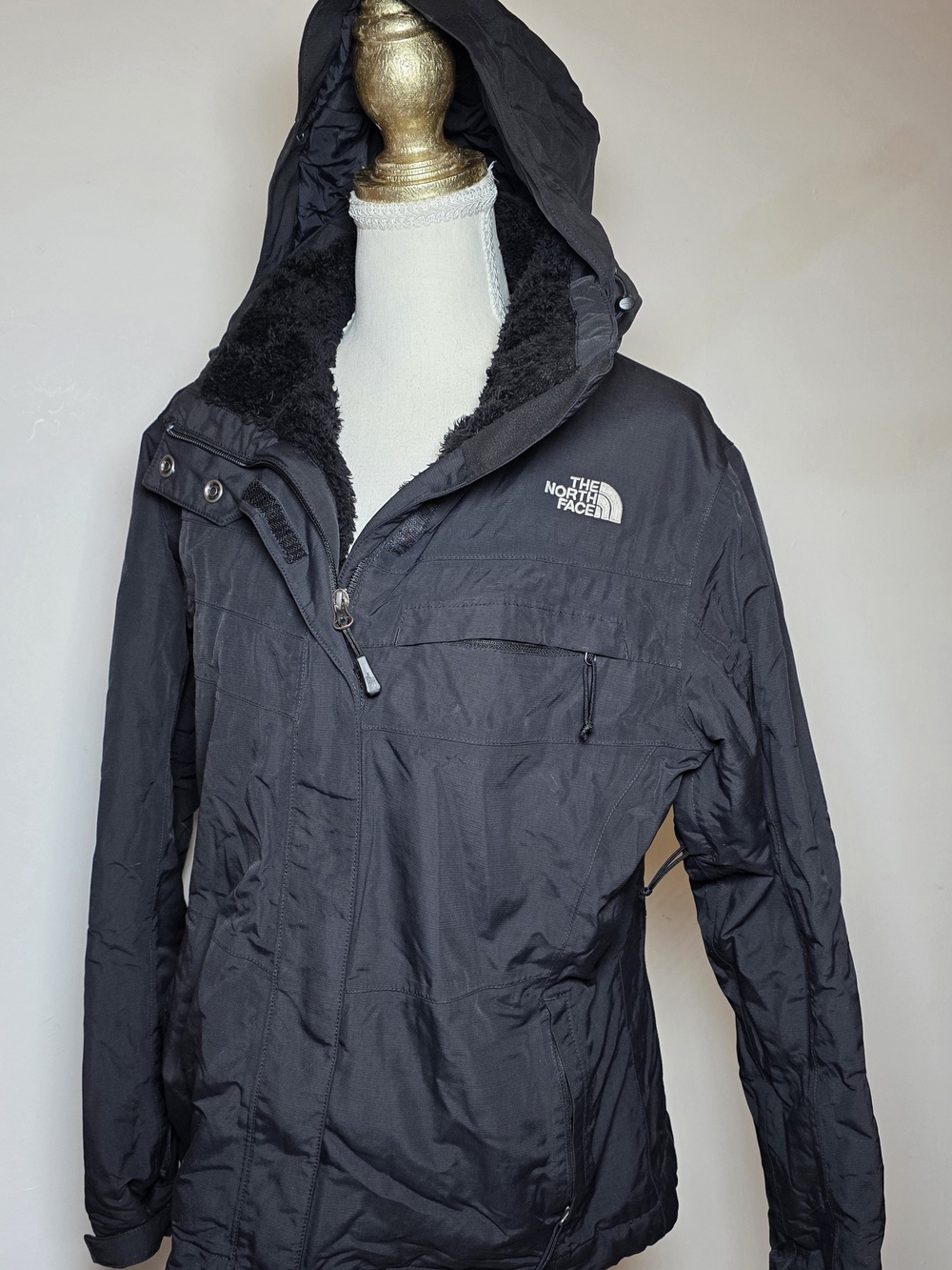 The North Face Inlux Hooded Fleece Lined Waterproof HyVent Winter Jacket L